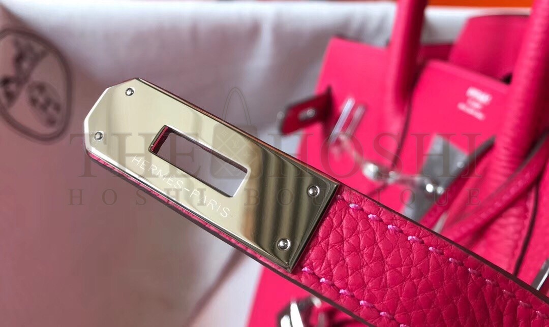 H**me5 Birkin 25cm Bag In Rose Red Clemence Leather Master Quality
