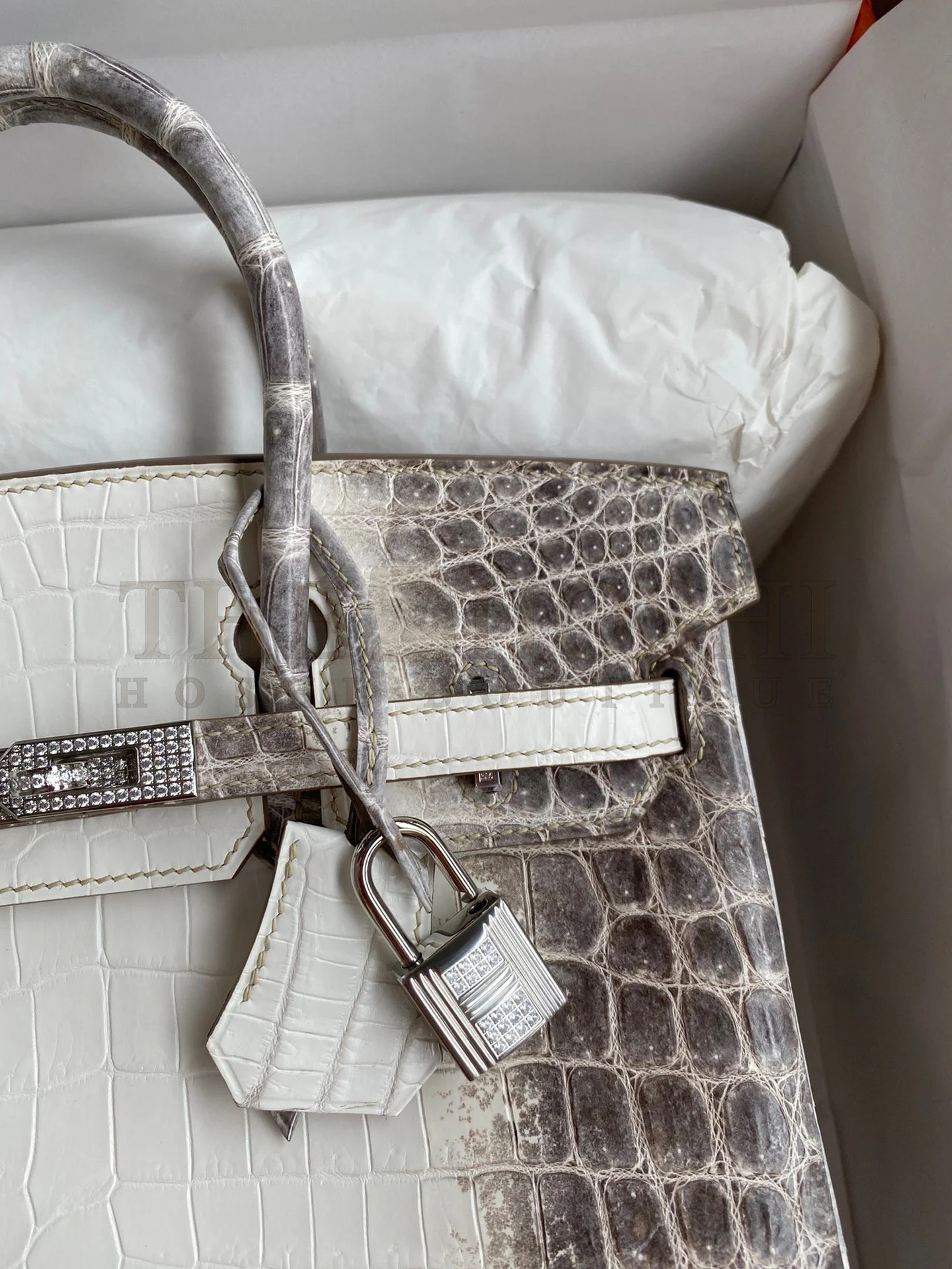 H**me5 Birkin 25 D1am0nd Bag In Himalaya Niloticus Crocodile Skin Master Quality