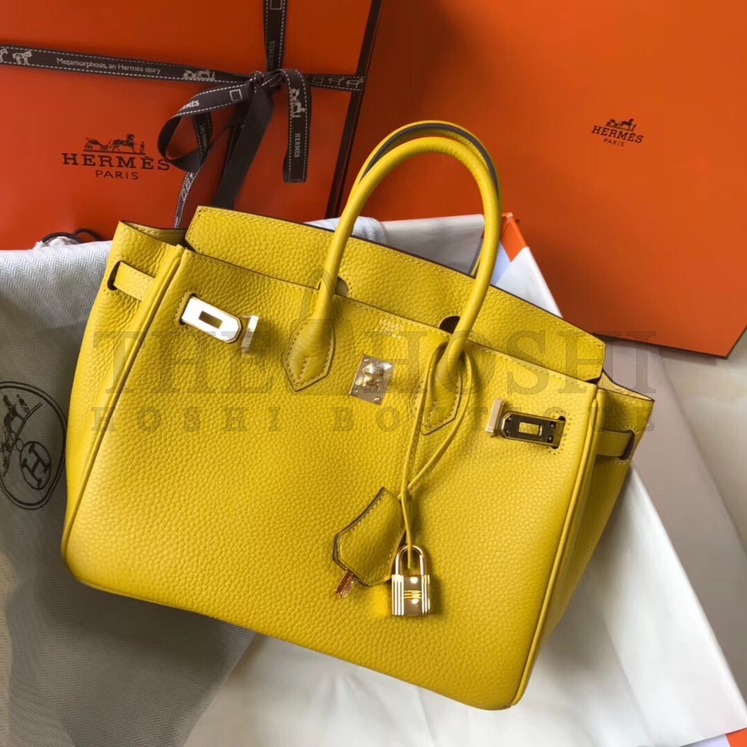 H**me5 Birkin 25 Bag In Yellow Clemence Leather with GHW Master Quality