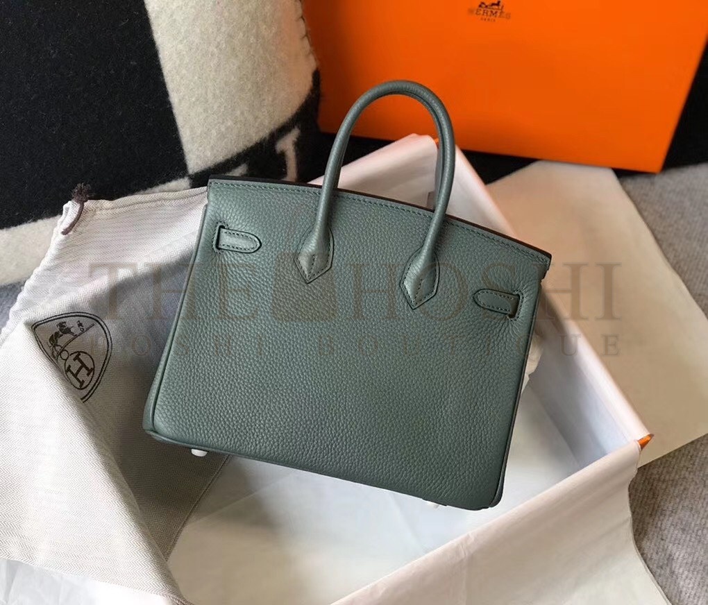H**me5 Birkin 25 Bag In Vert Amande Clemence Leather with GHW Master Quality
