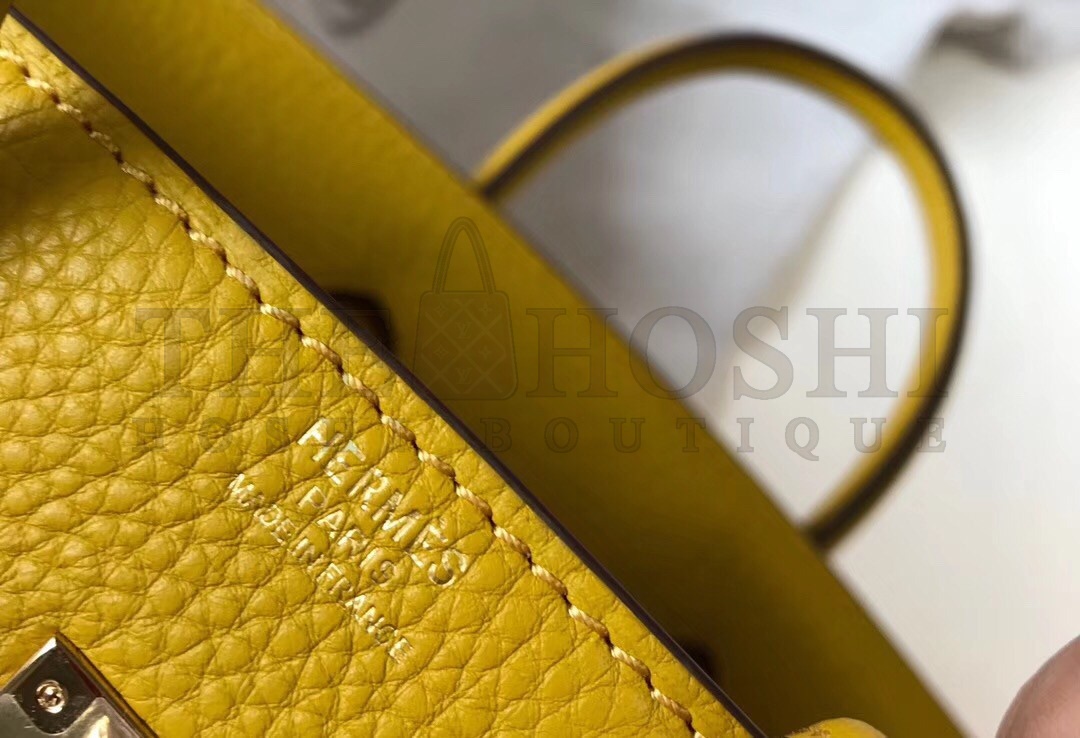 H**me5 Birkin 25 Bag In Yellow Clemence Leather with GHW Master Quality