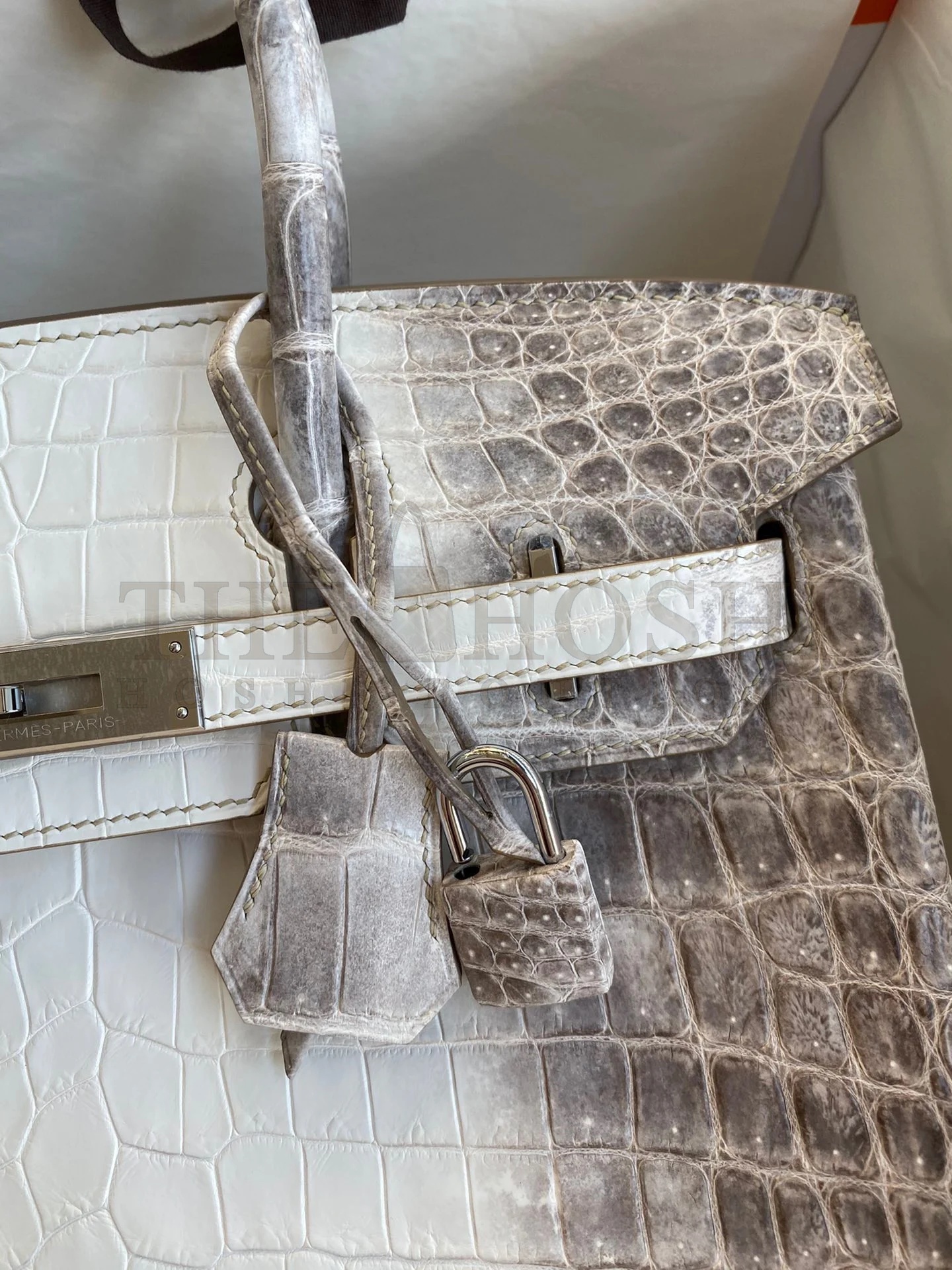 H**me5 Birkin 25 Retourne Bag In Himalaya Niloticus Crocodile Skin Master Quality
