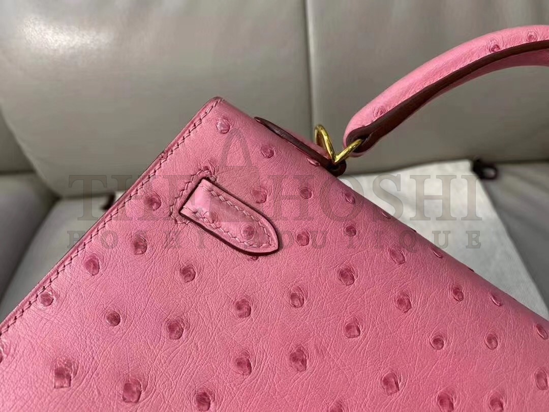 H**me5 Terre Cutie Ostrich Kelly 25cm Handmade Bag Master Quality