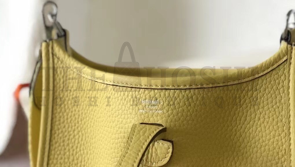 H**me5 Evelyne III TPM Bag In Jaune Poussin Clemence Leather Master Quality