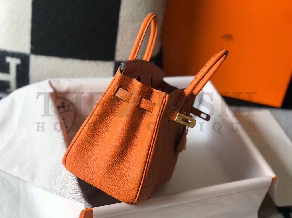 H**me5 Birkin 25 Bag In Orange Clemence Leather with GHW Master Quality