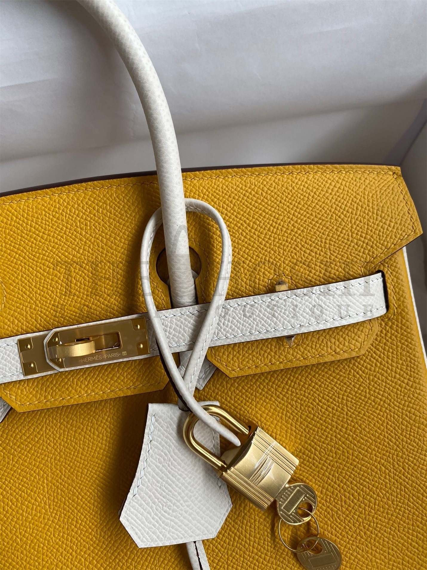 H**me5 HSS Birkin 25 Bicolor Bag in Jaune d